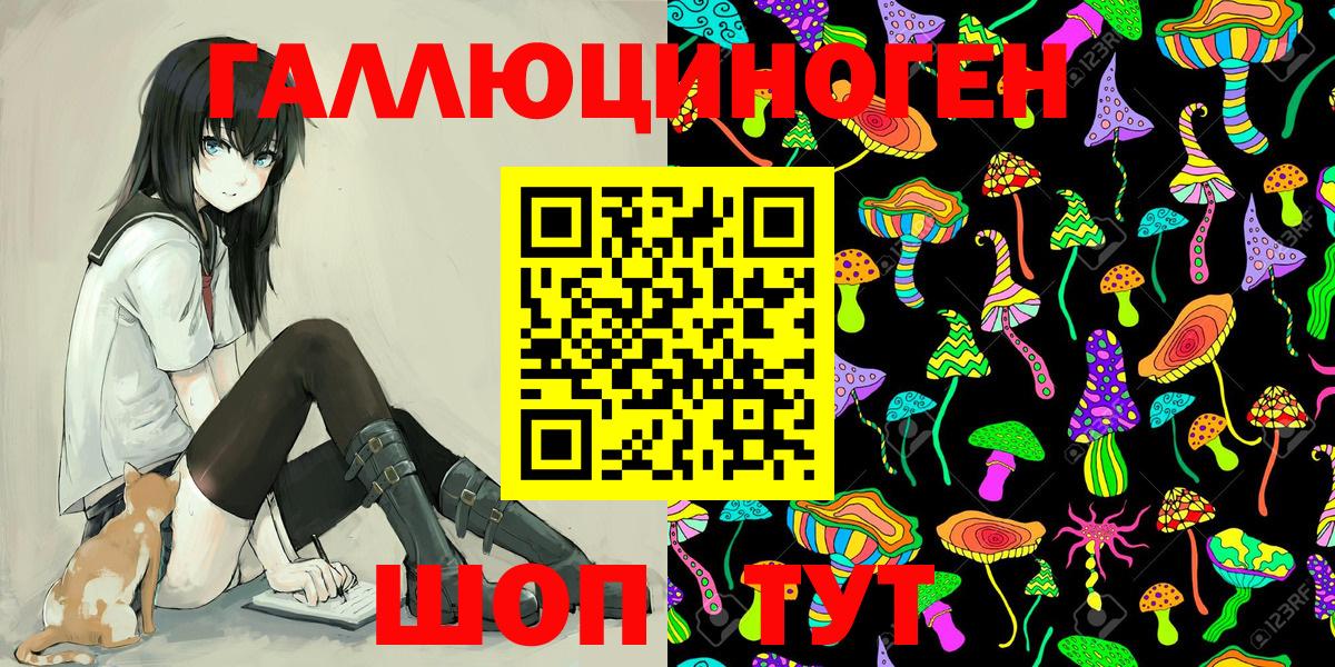 Галлюциногенные грибы Psilocybe  закладка  Галлюциногенные грибы Psilocybe  Гатчина  Вход с VPN 